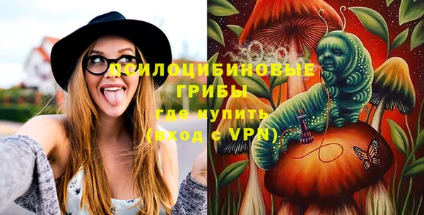 молекула духа Нея