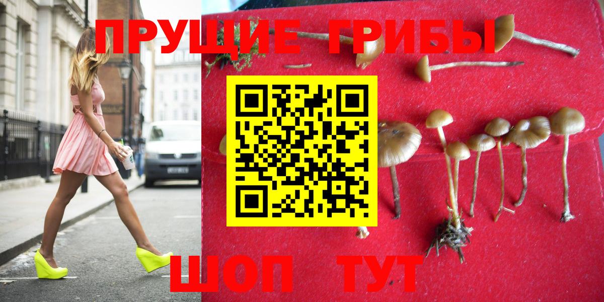 Псилоцибиновые грибы GOLDEN TEACHER Лянтор