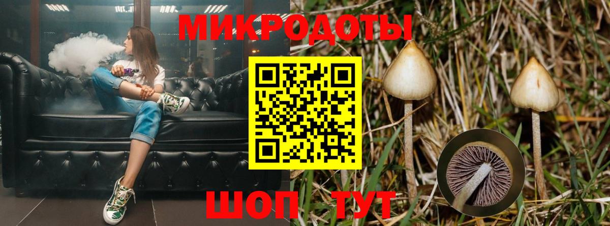 Галлюциногенные грибы мицелий  Псилоцибиновые грибы мицелий  Вход с VPN  Лянтор 
